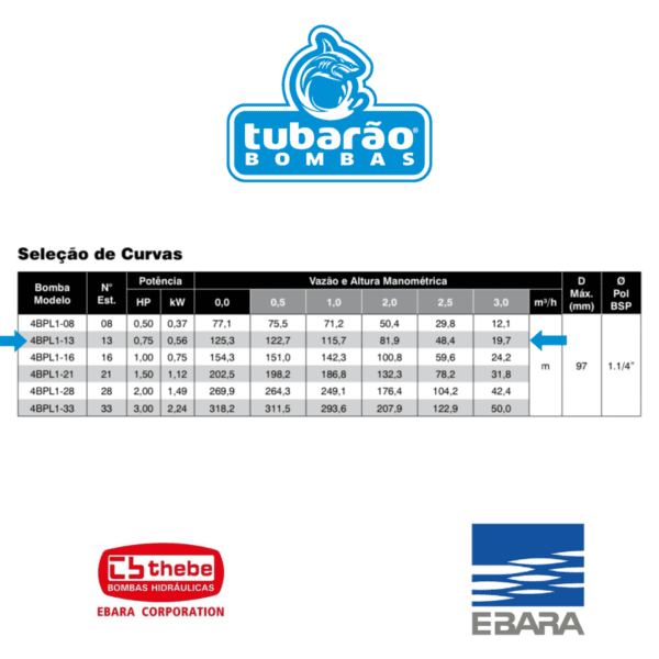 BOMBA EBARA 4BPL1-13 0,75HP 230VM 60Hz C.Box OD4 - Imagem 2
